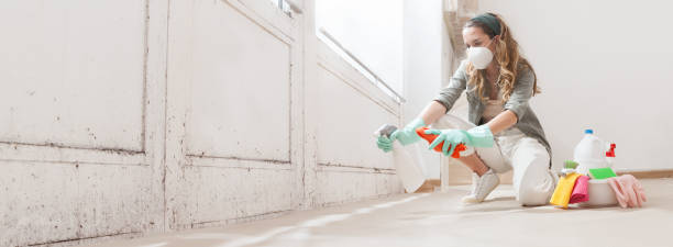 Best Mold Remediation for Healthcare Facilities  in Sturgis, KY